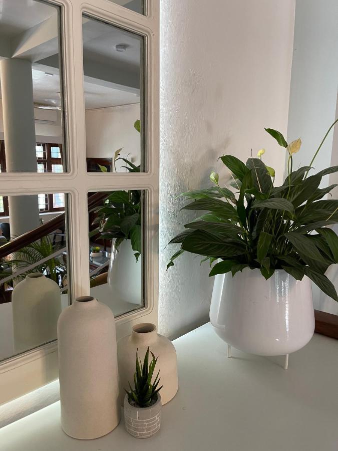 Himalayan Villa デヘラードゥーン エクステリア 写真